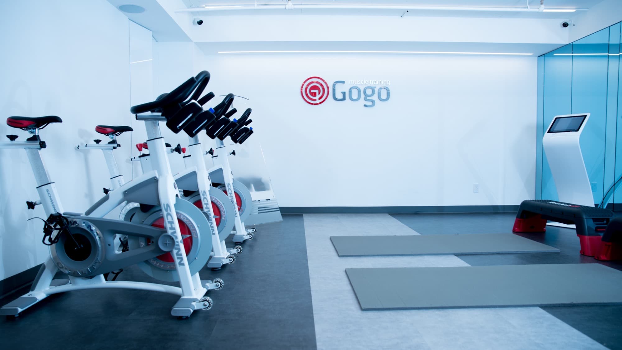 The training floor at GoGo Muscle Training in Thornhill