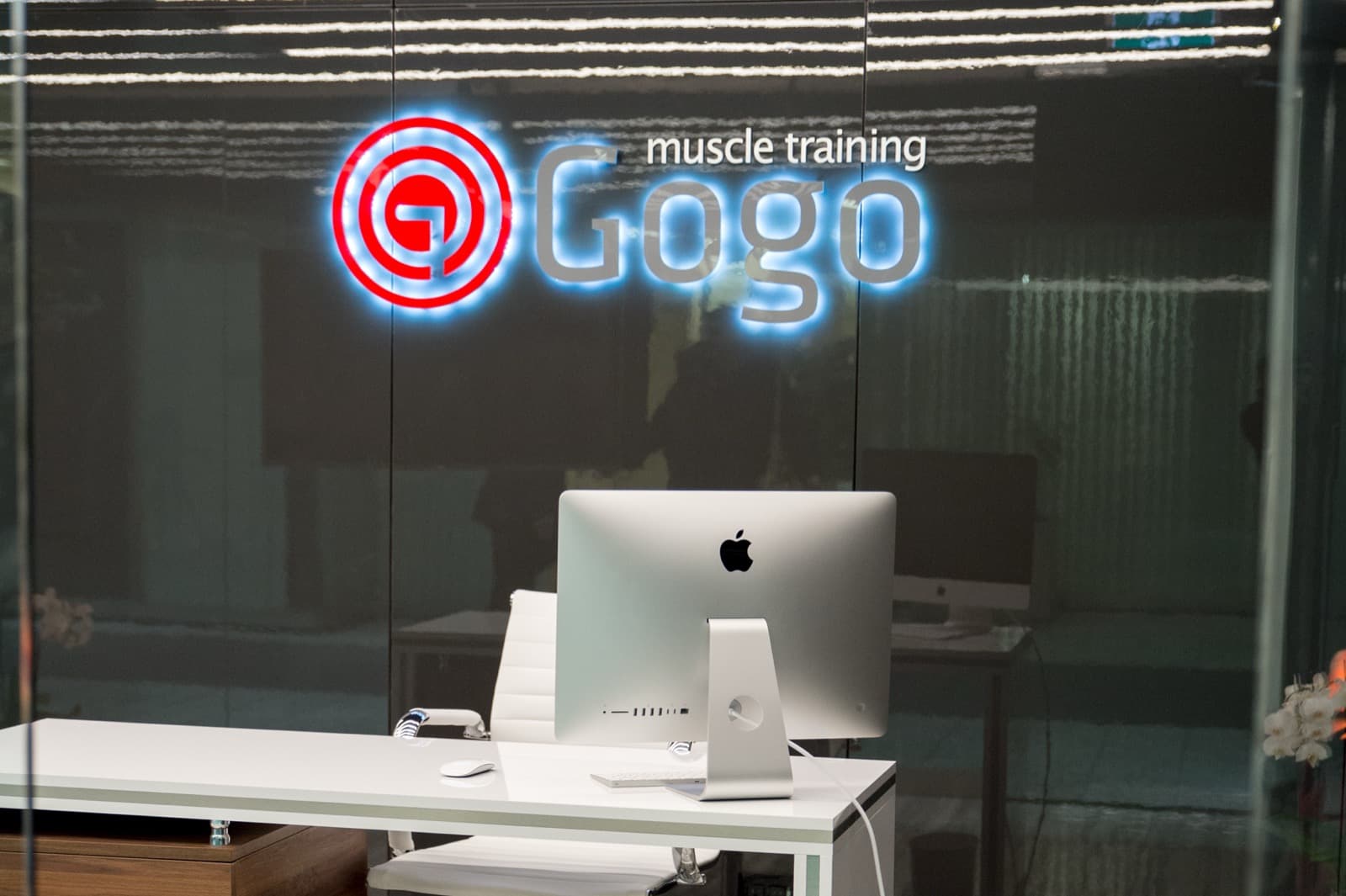 The glowing neon GoGo logo above the studio reception desk